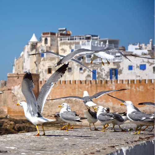 Essaouira