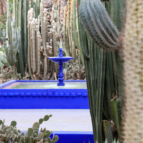 Jardin-Majorelle1-visite