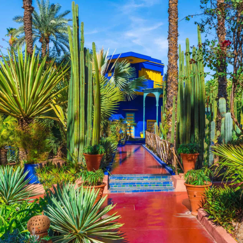 Jardin Majorelle2 - Kesh
