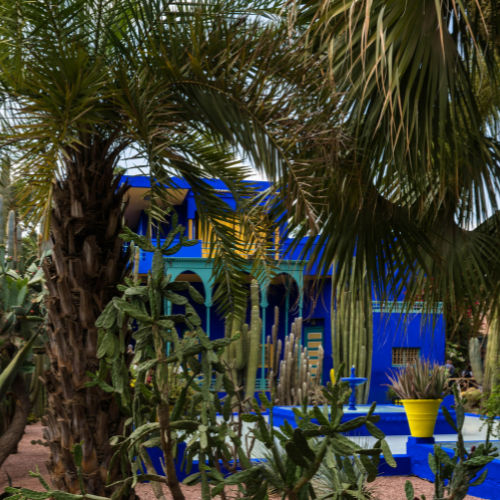 Jardin-Majorelle2-visite