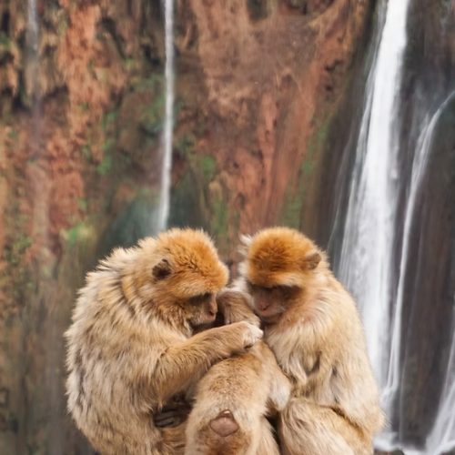 Ouzoud5-marrakech-visite