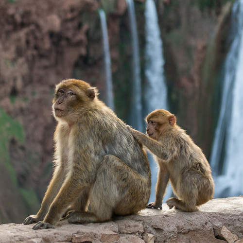 Ouzoud7-marrakech-visite